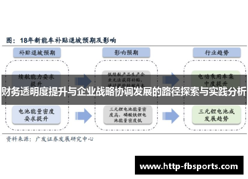 财务透明度提升与企业战略协调发展的路径探索与实践分析