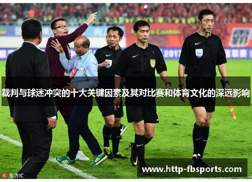 裁判与球迷冲突的十大关键因素及其对比赛和体育文化的深远影响